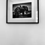 Studio 17Eme Batignolles